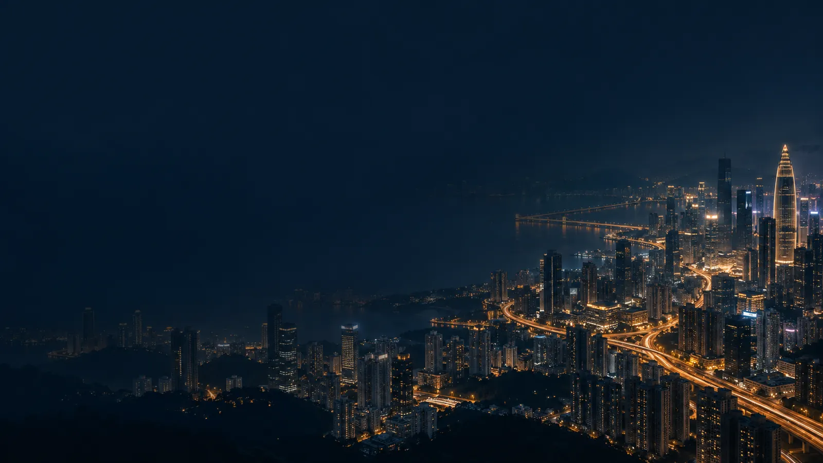 深圳城市夜景概念插画